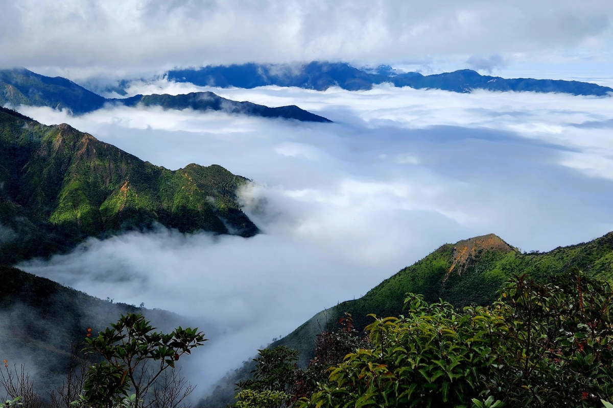 Ảnh Website (25) Anh Website 25